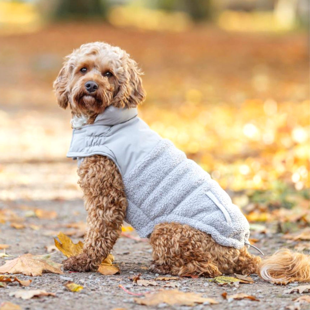 Trixie Ajou Hundejakke